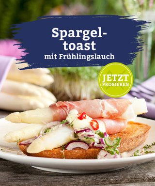platzhalter