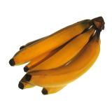 Bananen ´bioladen* fair´