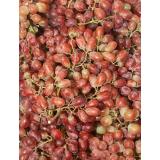 Trauben rot kernlos "Pink Muscat"
