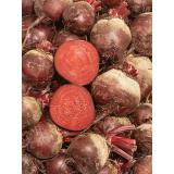 Rote Bete