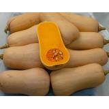 Butternut Kürbis