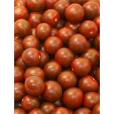 Cherrytomaten Chocolate lose