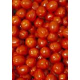 Cherrytomate Dattel rot