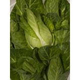 Spitzkohl