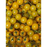 Cherrystrauchtomaten gelb