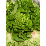 Kopfsalat