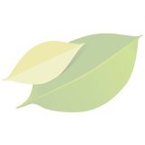 Blumenerde torffrei
