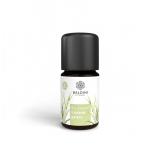 Baldini Bio-Aroma Lemongras