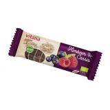 Himbeer-Cassis- Fruchtschnitte