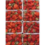 Erdbeeren
