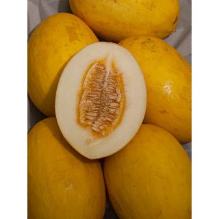 Honigmelone Canari/Amarillo