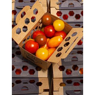 Wilde Tomaten gep.