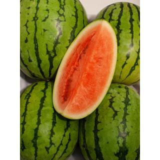 Wassermelonen