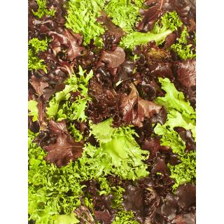 Mixsalat lose