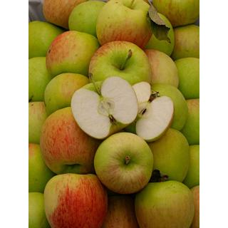 Delcorf Apfel