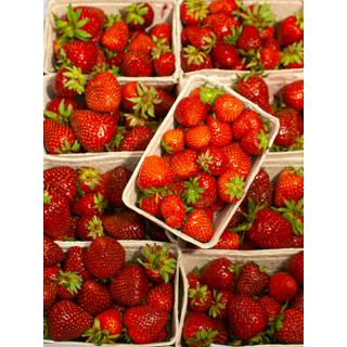 Erdbeeren
