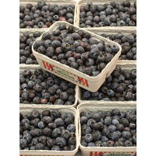 Heidelbeeren Schale