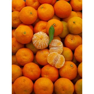 Mandarinen