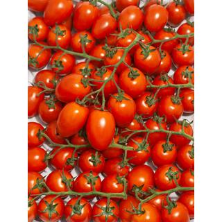 Cherryromastrauchtomaten