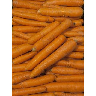 Möhren