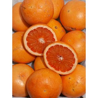 Grapefruit rot