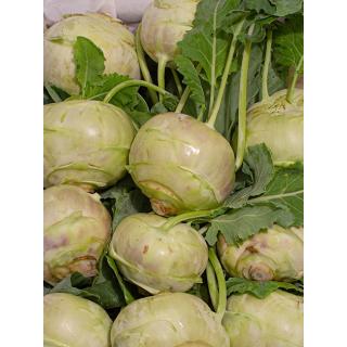 Kohlrabi