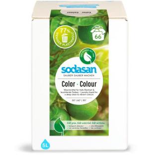 Color Waschmittel Limette Bag in Box