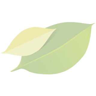 MYTAO sieben Parfum
