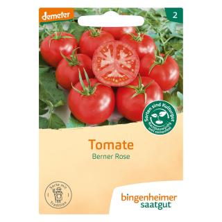 Tomate Berner Rose