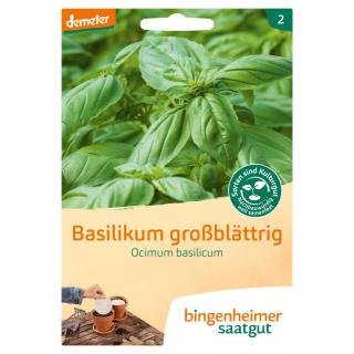 Basilikum Saatscheiben