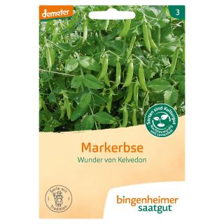 Markerbse W. von Kelvedon