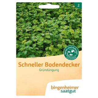 Gründüngung Schneller Bodendecker
