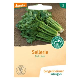 Sellerie Stange Tall Utah
