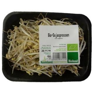 Mungbohnen sprossen (Sojaspro.)
