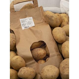 Kartoffeln, Bellinda "festk."