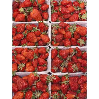 Erdbeeren