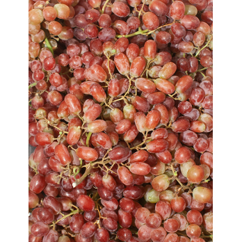 Trauben rot kernlos "Pink Muscat"