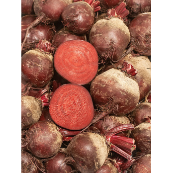 Rote Bete