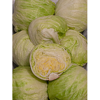 Eisbergsalat