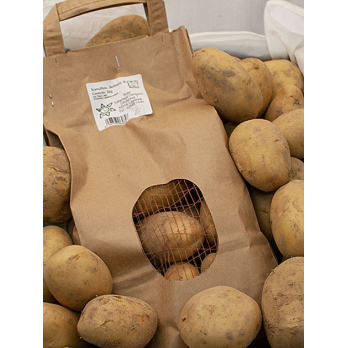 Kartoffeln, Bellinda "festk."