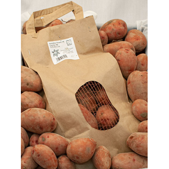 Kartoffeln, Laura rot "vorw. festk."