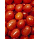 Romatomaten