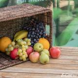 wedde.bio Büro-Obst, 20 Portionen