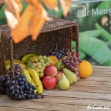 wedde.bio Büro-Obst, 30 Portionen