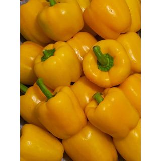 Paprika gelb