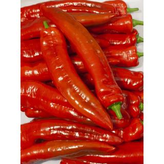 Spitzpaprika rot