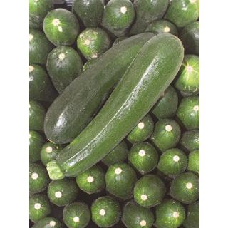 Zucchini