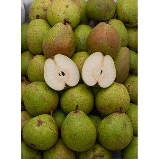 Alexander Lucas Birne