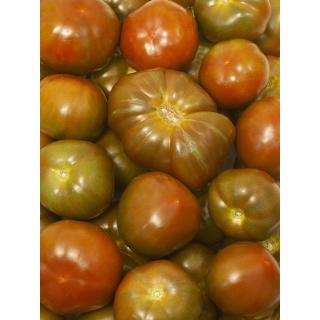 Tomaten schwarz