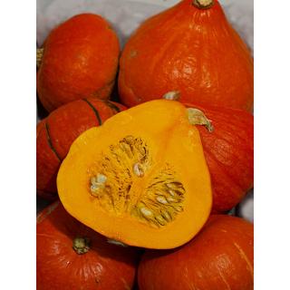 Hokkaido Kürbis